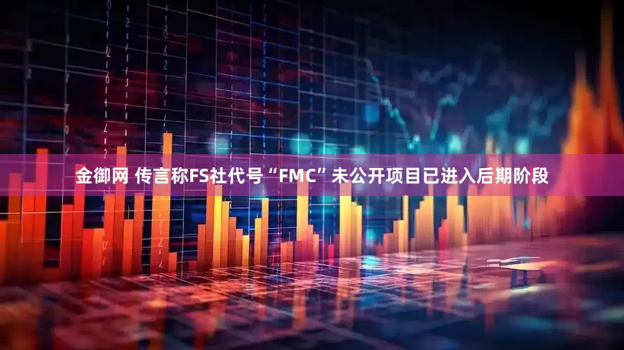金御网 传言称FS社代号“FMC”未公开项目已进入后期阶段