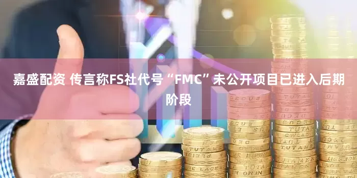 嘉盛配资 传言称FS社代号“FMC”未公开项目已进入后期阶段
