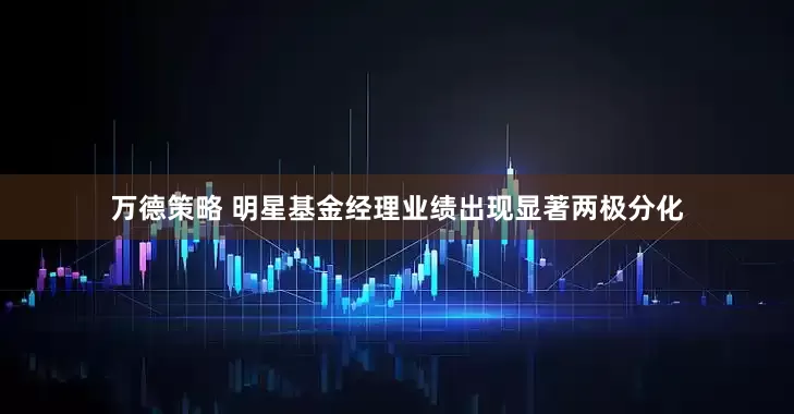 万德策略 明星基金经理业绩出现显著两极分化