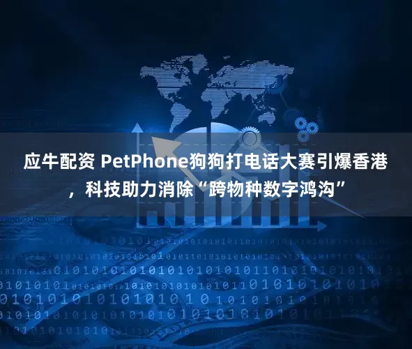 应牛配资 PetPhone狗狗打电话大赛引爆香港，科技助力消除“跨物种数字鸿沟”